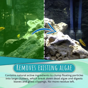 Algae Repellent for Aquariums