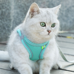 Pet Reflective Collar